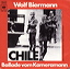 Biermann Chile.JPG