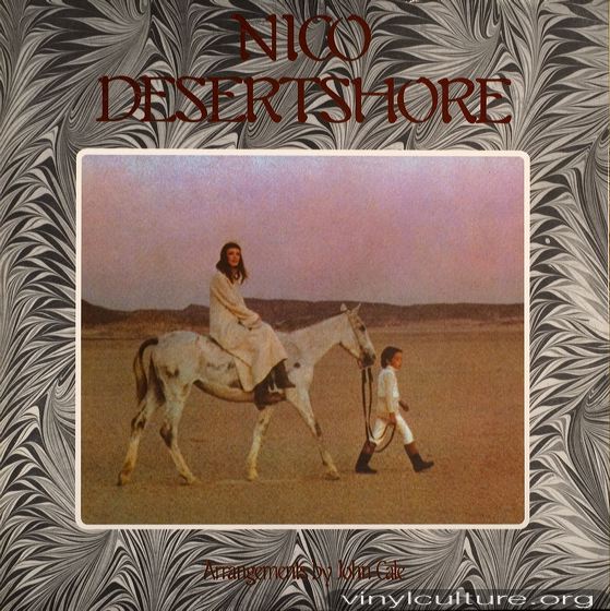 nico_desertshore.jpg
