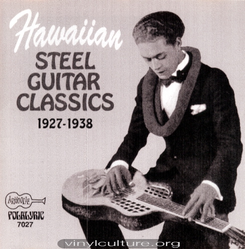 hawaiian_steel_guita_e1c85e.jpg