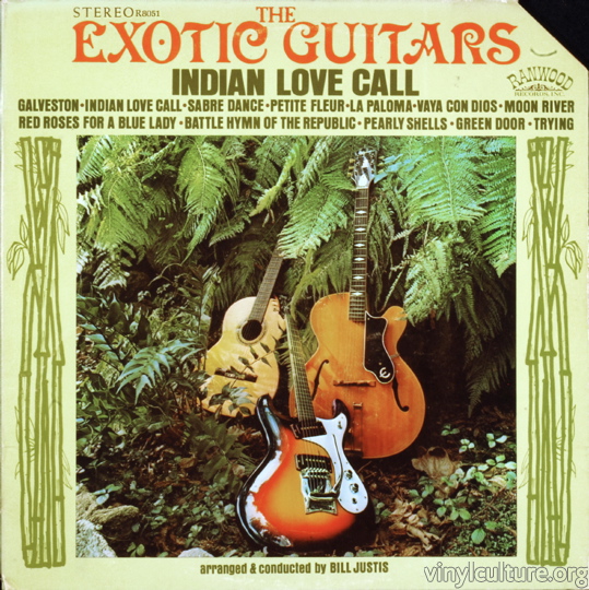 the_exotic_guitars.jpg